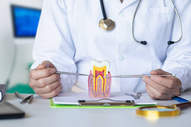 Best Emergency Care for Gum Disease in Olive Hill, KY